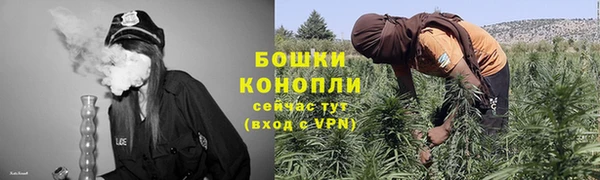молекула духа Нягань