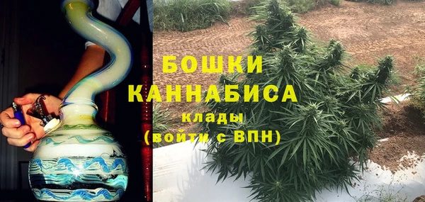 молекула духа Нягань