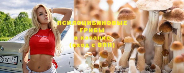 mdma Няндома