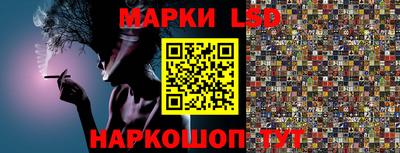 молекула духа Камышлов