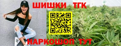 молекула духа Камышлов