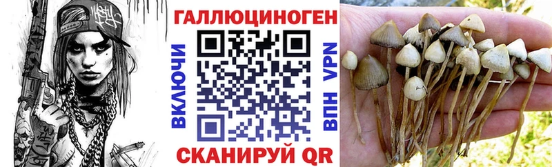 Галлюциногенные грибы Psilocybe  хочу наркоту  Краснодар 