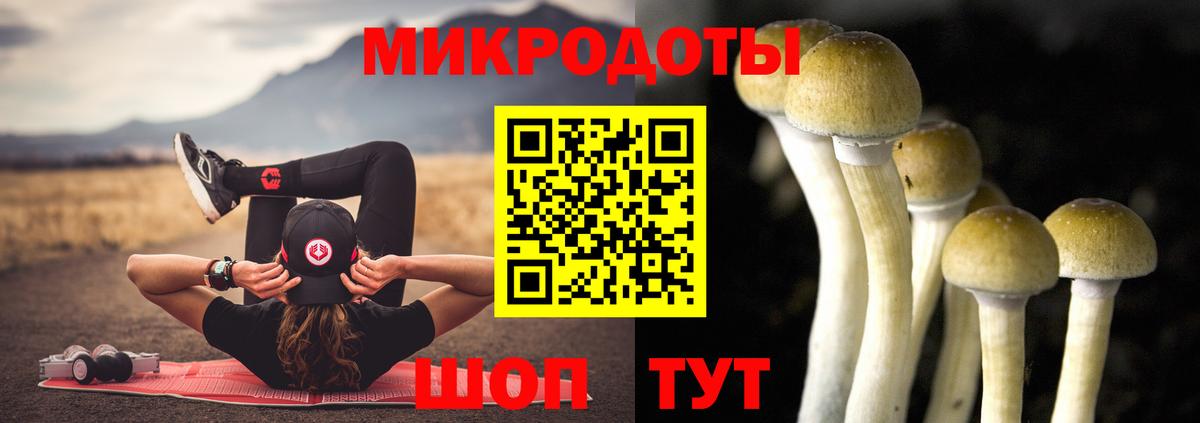 Краснодар  где купить наркоту  Галлюциногенные грибы ЛСД  Вход с VPN  Псилоцибиновые грибы Psilocybe 